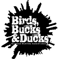 BirdsBucksDucks